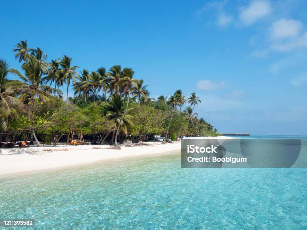 Beach On Maldives On Meeru Island With Palm Trees Cloudy Sky And Indian Ocean Stock Photo - Download Image Now
