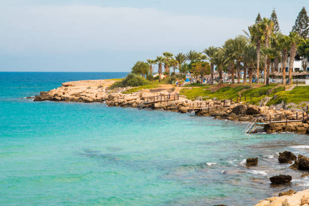 istock Coast Line on Cyprus with Mediterranean Sea and Palm Tree. 1211394088