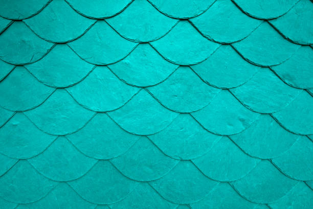 istock Slate tiles on a typical home in Thuringia, Germany, as background 1211394182