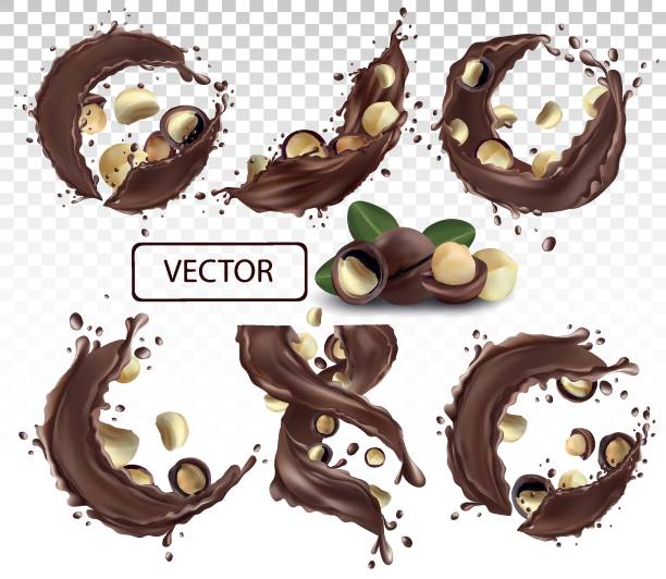 ilustrações de stock, clip art, desenhos animados e ícones de chocolate splash with nuts macadamia. dark chocolate-nuts paste. cocoa. chocolate dessert. collection 3d realistic chocolate spray. vector illustration - chocolate swirl backgrounds coffee