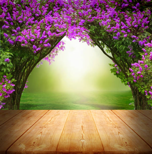 istock Spring background with wooden table.Beautiful landscape.Lilac trees in blossom. 1211396575