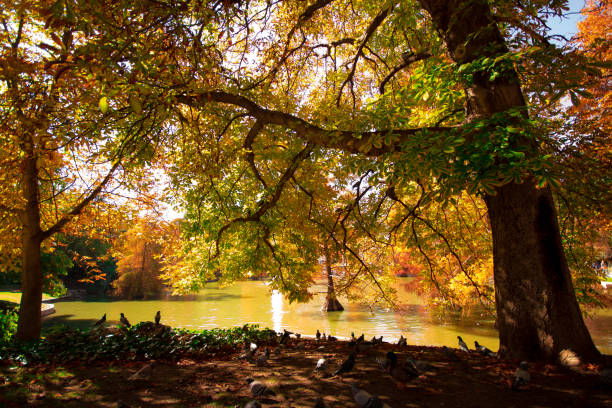 istock 
