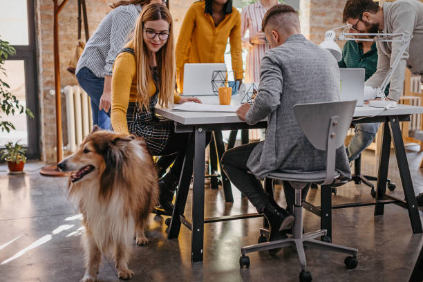 istock Woman stroking dog while colleagues are working at office 1211397121