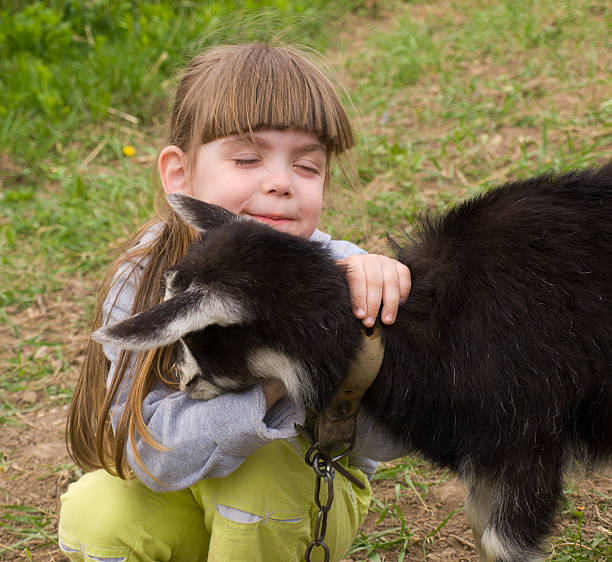 istock Little girl with goat 121140055