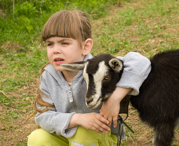 istock Little girl with goat 121140101