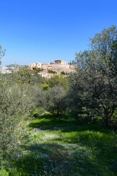 istock Parthenon temple and Acropolis hill view from Pnyx 1211403236