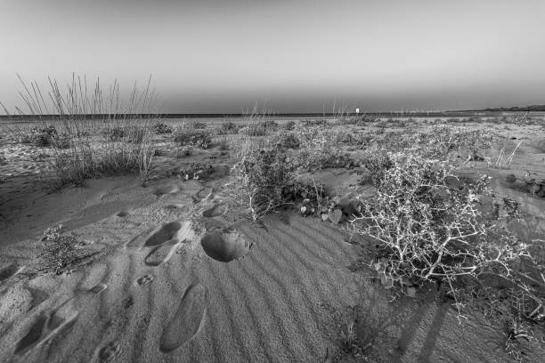 istock Bibione Pineda lagoon, Venice 1211404910