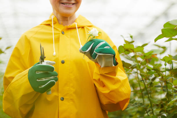 istock Gardener with little flower 1211406283
