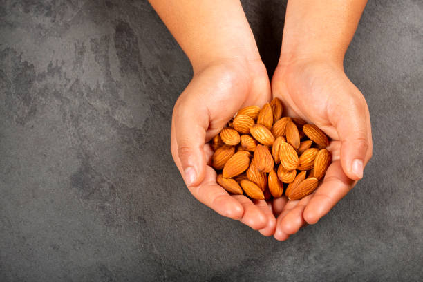 istock Hands holding peeled almonds - Prunus dulcis 1211407003