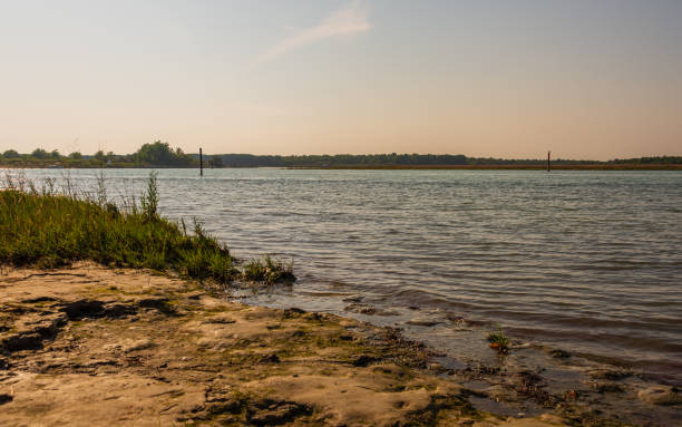 istock sceneries from Bibione Pineda beach, Venice 1211407125