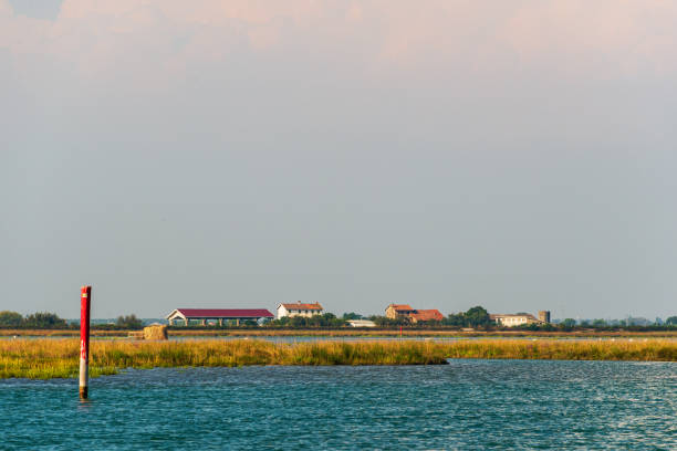 istock sceneries from Bibione Pineda beach, Venice 1211408050