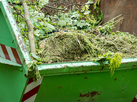Green waste in the container