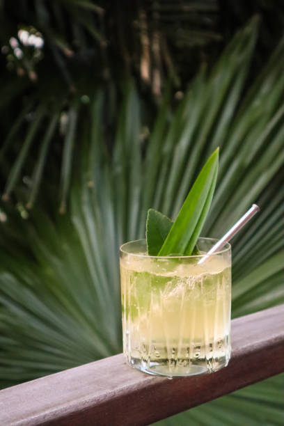 istock Green Jungle Cocktail 1211413125