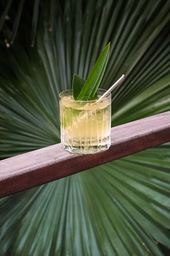 Green Jungle Cocktail in front of palm leaf