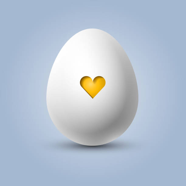 Vector egg with a yellow heart Cute white egg with a yellow heart in the shell, easter or valentine's egg, concept of newborn and pregnancy protein food background stock illustrations