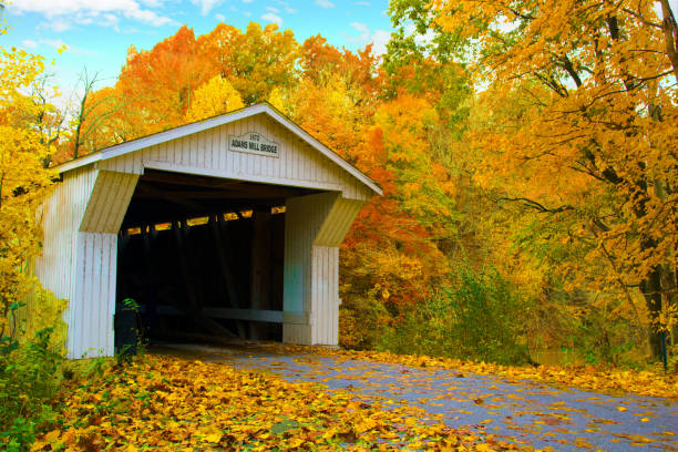 istock Bridge-Adams Mill covered bridge-Carrol County Indiana 1211415201