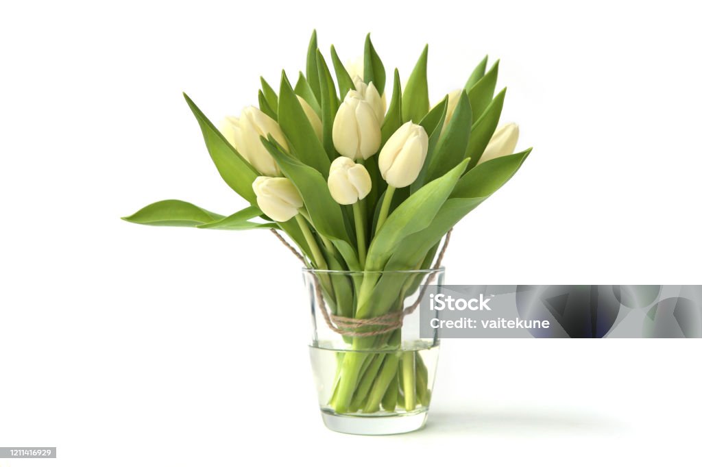 White tulips bouquet in glass vase isolated on white background. Spring bouquet of fresh tulip flowers. Vase Stock Photo
