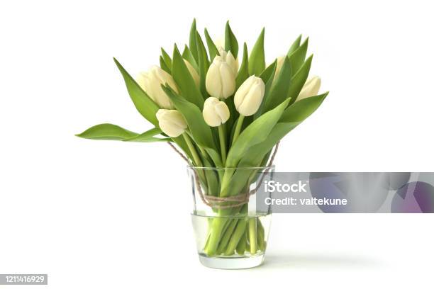 White Tulips Bouquet In Glass Vase Isolated On White Background Stock Photo - Download Image Now