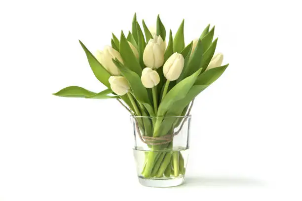 Photo of White tulips bouquet in glass vase isolated on white background.