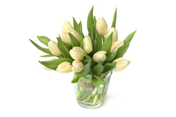 istock White tulips bouquet in glass vase isolated on white background. 1211416954