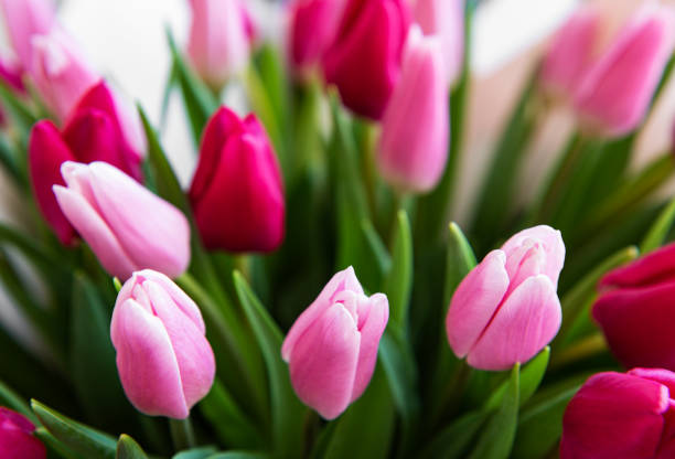 istock Beautiful tulips bouquet 1211419438