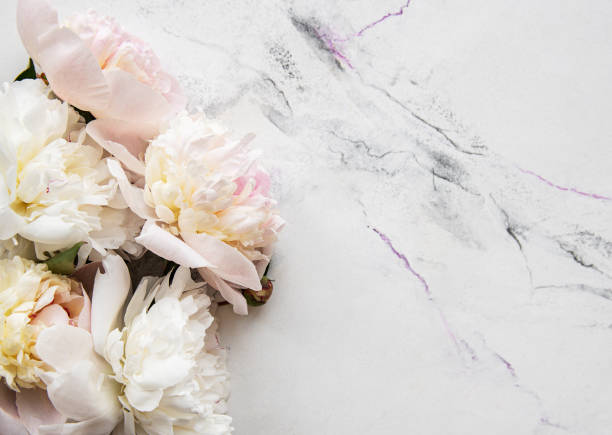 istock Pink peonies on a marble background 1211419452