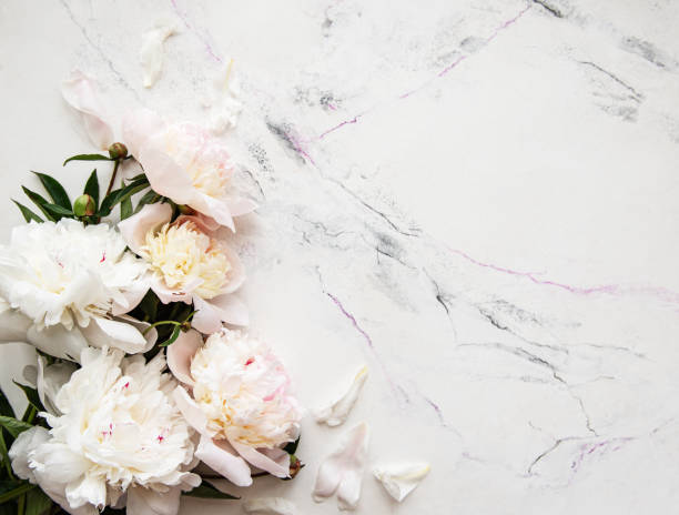istock Pink peonies on a marble background 1211419456