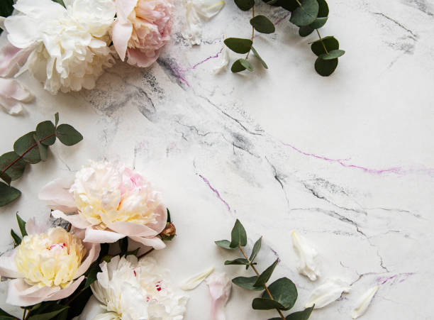 istock Pink peonies on a marble background 1211419483
