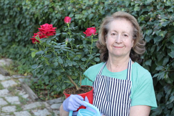 istock Senior woman working on her garden 1211420836