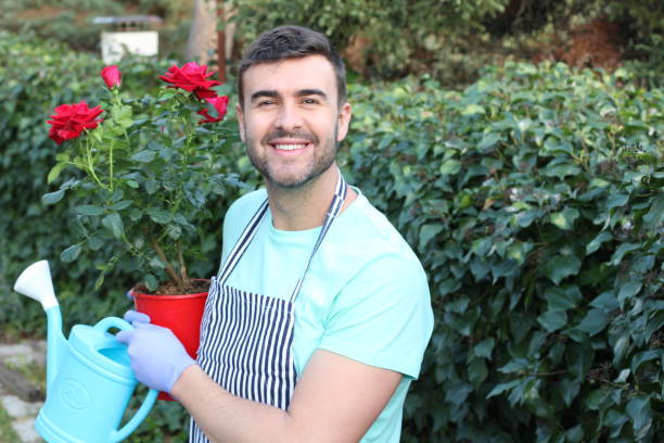Good looking gardener working with roses