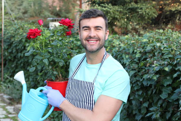 istock Good looking gardener working with roses 1211420927