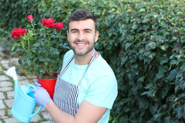 istock Cute gardener working with roses 1211420941