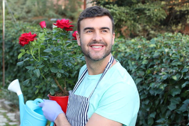 istock Cute man working on his garden 1211420990