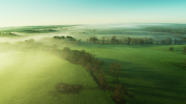 Morning Sunlight Shining Through Mist in Rural Alabama - Drone Shot