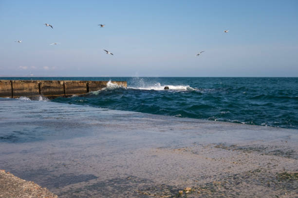istock Restless sea, concrete pier, waves, seagulls. 1211426777