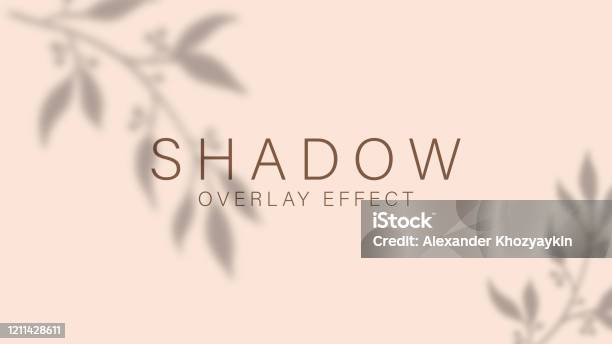 Shadow Overlay Effect Transparent Soft Light And Shadows From Branches Plant Foliage And Leaves Mockup Of Transparent Leaf Shadow - Arte vetorial de stock e mais imagens de Sombra