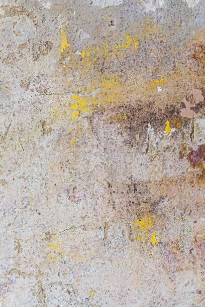 istock Old vintage grunge textures backgrounds wall. 1211429009