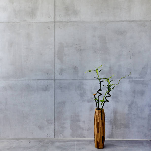 istock plant in a vase against a concrete 1211429777