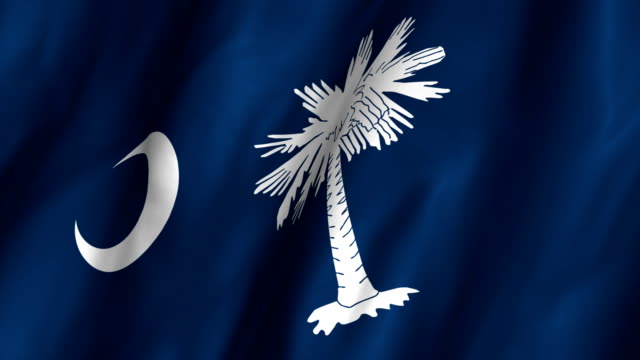 South Carolina Waving Flag 4K