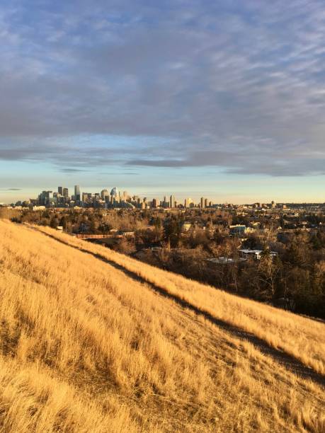 istock city skyline viewed from rural field 1211438961