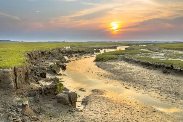 Tidal channel in salt marshland with natural meandering drainage system on wadden island of Ameland in Friesland, Netherlands