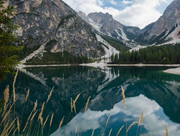 istock Trees and white rock reflected in stunning Lake Braies, Italy 1211442492