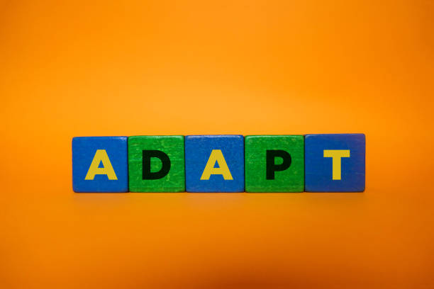 istock ADAPT, Wood Blocks on Orange Background. 1211444666