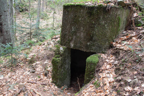 istock Abandoned fortification line Arpad since World War II. Ukraine 1211449419