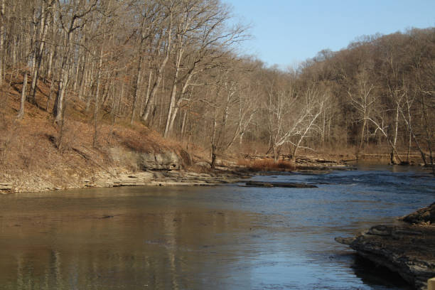 istock Winter Trees on the Bank 1211454774