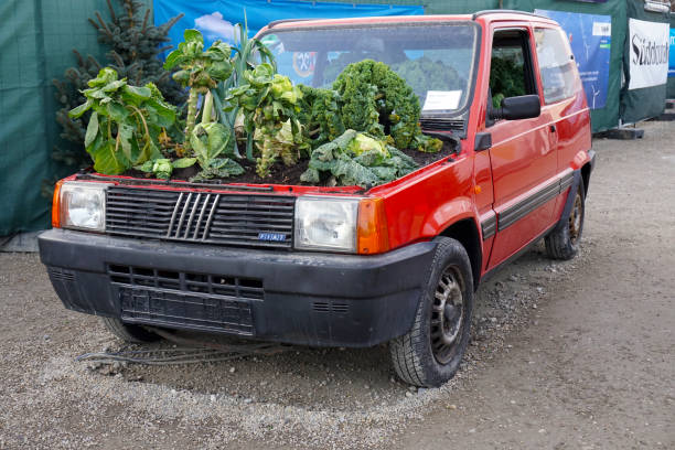 Munich, Germany, 12/13/2016\nfresh vegetables planted in motor compartment of small Italian car