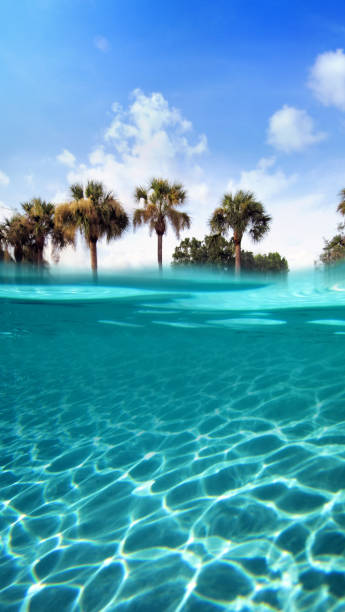 istock freshness of tropical beach vacation 1211456801