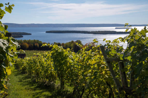 istock Nova Scotia land and sea scape. 1211463354