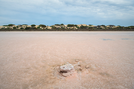 Dried out bottom of Lake MacDonnell, South Australia