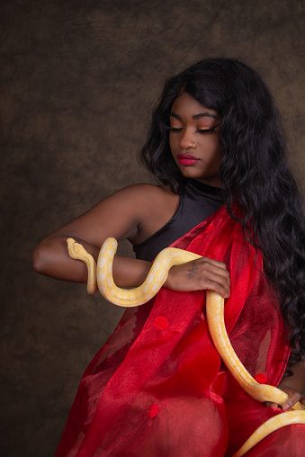 Vertical studio shot on brown of young woman holding snake who is wrapping around her arm.